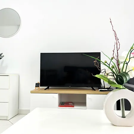 Comfort 528 Apartment *
